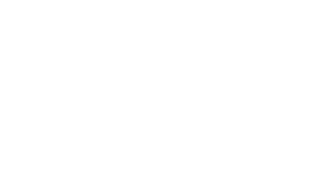 Initvi